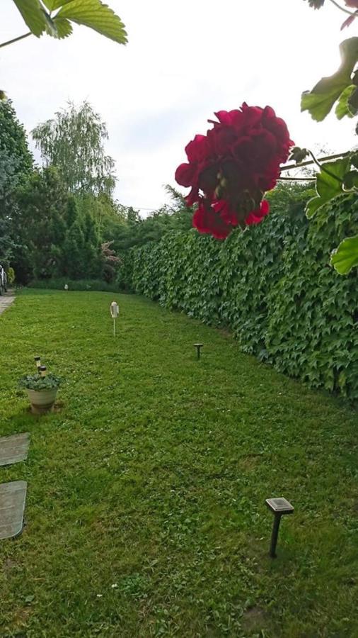 Liliana Vendeghaz Leilighet Balatonfůzfő Eksteriør bilde