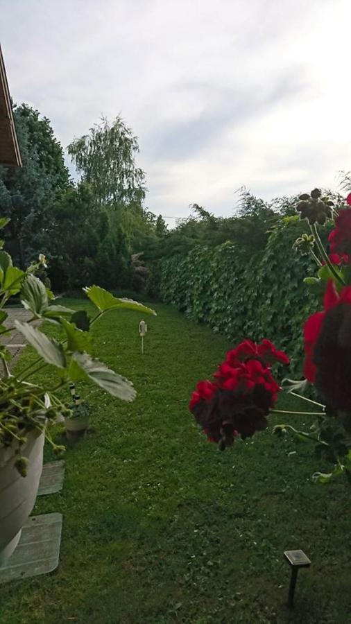 Liliana Vendeghaz Leilighet Balatonfůzfő Eksteriør bilde